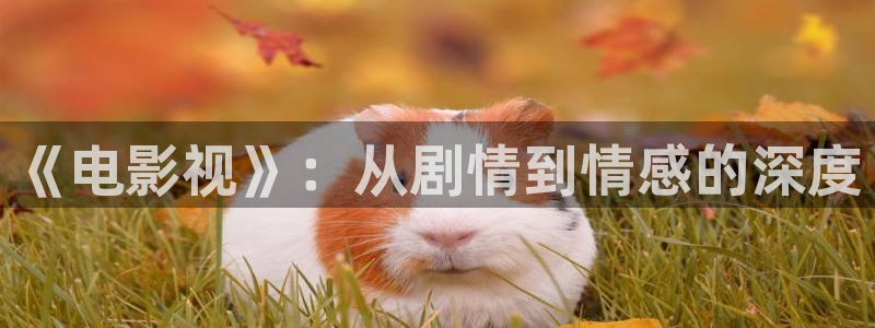 胭脂电视剧星辰影院