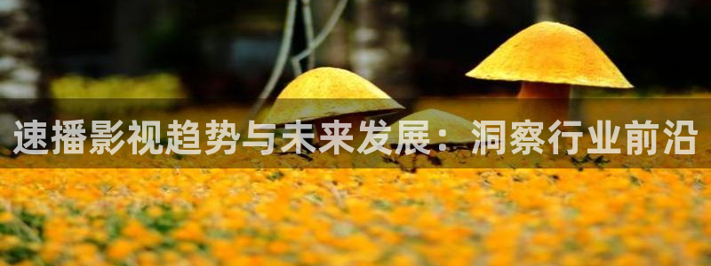 炽道免费观看星辰影院